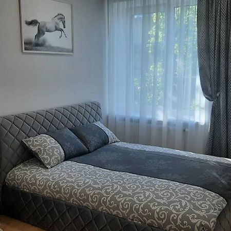 Jaukus Apartamentai Centre シャウレイ エクステリア 写真