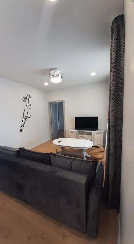 Jaukus Apartamentai Centre シャウレイ エクステリア 写真