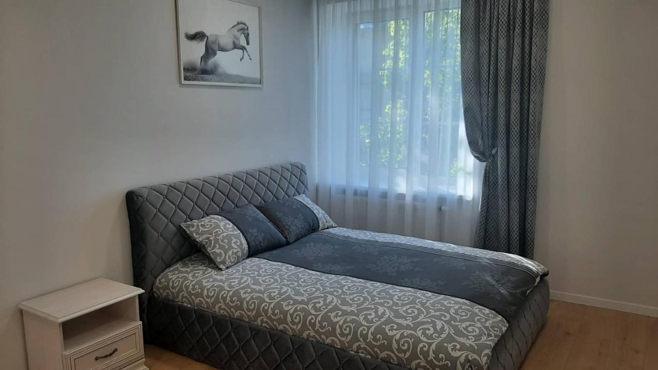 Jaukus Apartamentai Centre シャウレイ エクステリア 写真